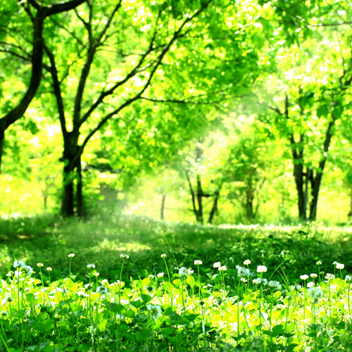 JNレンタカー 会社案内